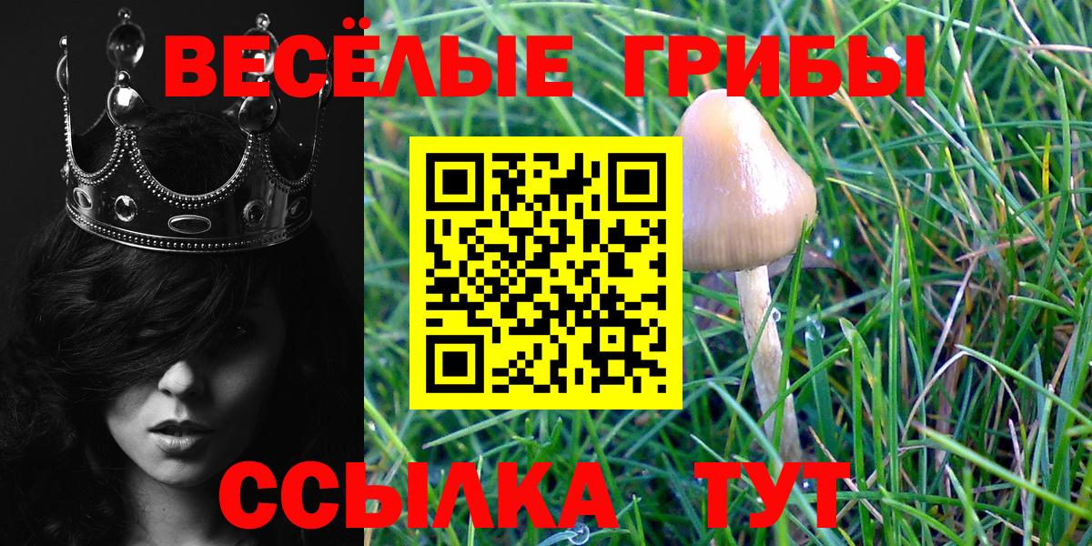 ЭКСТАЗИ Избербаш