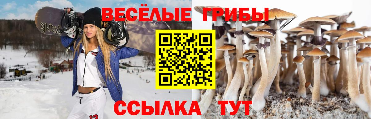 Псилоцибиновые грибы прущие грибы  Вход с VPN  Псилоцибиновые грибы Psilocybine cubensis  Избербаш 